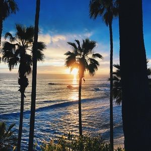 Meet your Posher, Jalyn